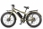 Велогибрид VOLTECO BIGCAT DUAL NEW