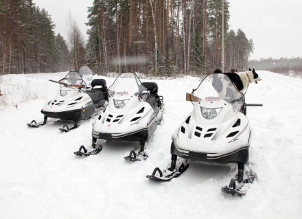 Снегоход Тайга Варяг 550 V SE