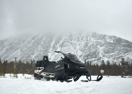 Снегоход SHARMAX SHP-1000 EFI