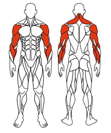 Рули (положение сидя) красный - Уличный тренажер - СТ 104-11