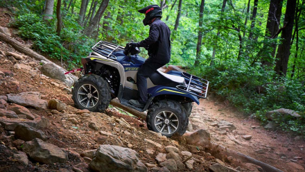 Квадроцикл YAMAHA Grizzly 700 EPS SE (ПСМ)
