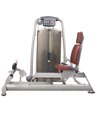 BRONZE GYM A9-17A_C Голень-машина