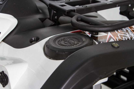 Квадроцикл BALTMOTORS Striker 700 EFI (ПСМ)