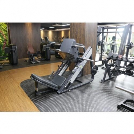 E-1056В Жим ногами (Leg Press)