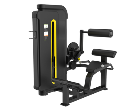 Разгибание спины SVENSSON INDUSTRIAL H3031 (matte black)
