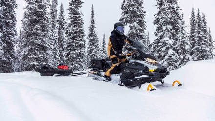Снегоход BRP Ski-Doo Skandic LE 20″ 900 Ace (2023)