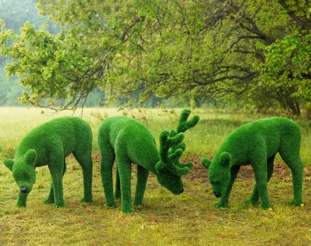 Топиари композиция Олени, олень и две самочки - газон Eco Green