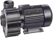 Насос без префильтра Speck Badu 21-80 31 RG 380B
