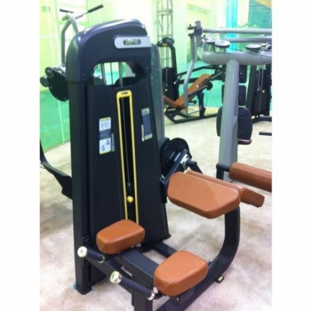 E-1001B Сгибание ног лежа (Prone Leg Cur). Стек 135 кг.