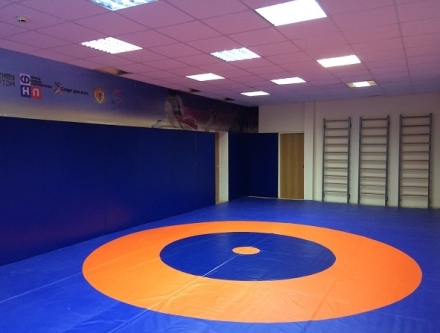 Борцовский ковёр 12х12,Трёхцветный, маты ППЭ плотностью 180 кг/м3 4см