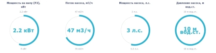 Насос без префильтра Saci Pumps Bravus 300
