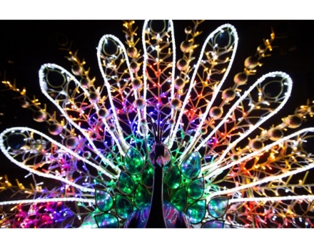 Световая фигура Павлин №3 005