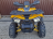 Квадроцикл MOTOLAND ATV 200 Wild Track