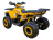 Квадроцикл AVANTIS Hunter 200 Big Lux (Баланс. вал)