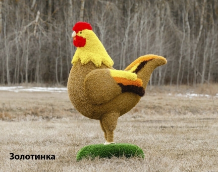 Топиари курочка Ряба/Золотинка - газон Eco + Deluxe