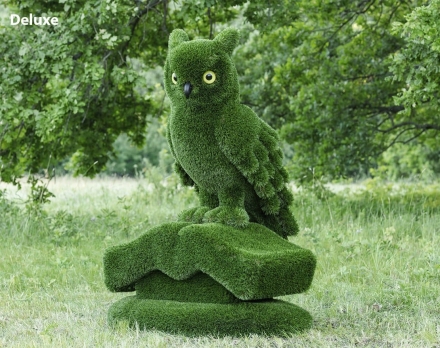 Топиари композиция сова на книге - газон Deluxe/Deluxe Green