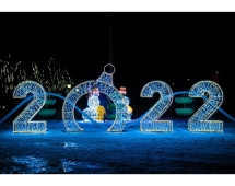 Световая фигура Цифры №2 w002