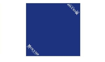 Ковер борцовский &quot;Юниор Эконом&quot; без круга