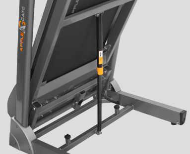 APPLEGATE T20 A Беговая дорожка домашняя