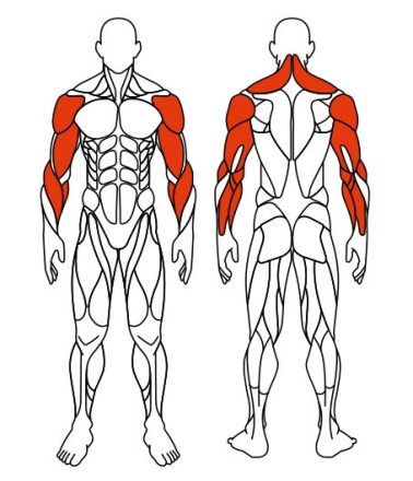 Рули (положение сидя) красный - Уличный тренажер - СТ 106-11