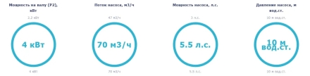 Насос без префильтра Saci Pumps Bravus 500