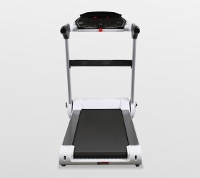 APPLEGATE Satellite B Беговая дорожка