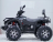 Квадроцикл LINHAI YAMAHA D400