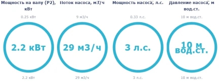 Насос с префильтром Saci Pumps Winner 300M
