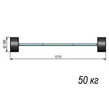 Штанга тренировочная 50кг ST580-50