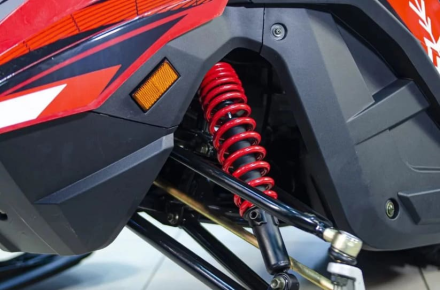 Снегоход ATAKI WD 250