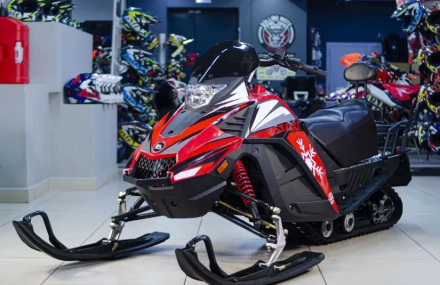 Снегоход ATAKI WD 250