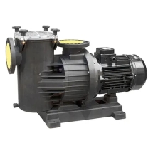 Насос с префильтром Saci Pumps Magnus-4 56м3/ч 380В