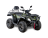 КВАДРОЦИКЛ IRBIS ATV 300