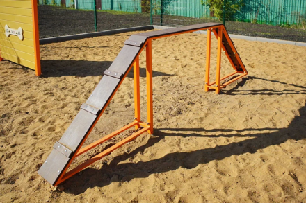Бум ДС-1.06 для дрессировки собак