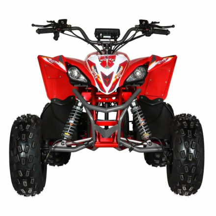 Квадроцикл Motax E-PENTORA 1500W