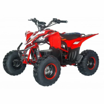 Квадроцикл Motax E-PENTORA 1500W