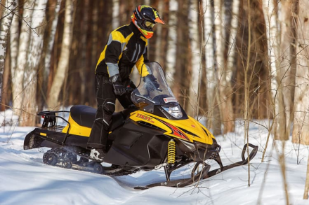 Снегоход РУССКАЯ МЕХАНИКА Tiksy 250 Люкс