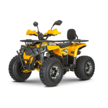 Квадроцикл Dazzle ATV125 Комплектация 2