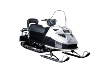 Снегоход БТС Arctic 4Т РК Лонг-Люкс 20 л.с.