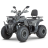 Квадроцикл Dazzle ATV200 Комплектация 1
