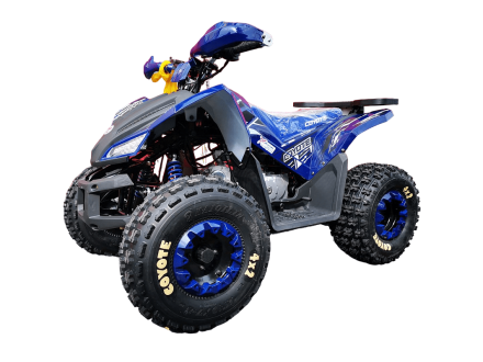 Квадроцикл MOTOLAND 125 Coyote Pro
