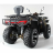 Квадроцикл MOTAX ATV Grizlik 300