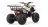 Квадроцикл MOTOLAND 125 Fox