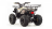 Квадроцикл MOTOLAND 125 Fox
