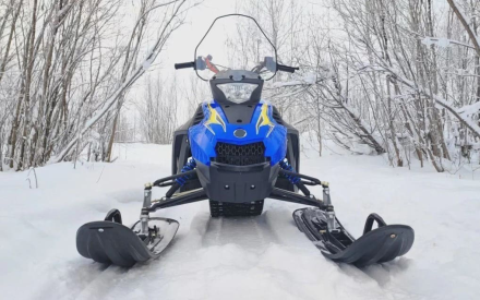 Снегоход WOIDEAL WD 300