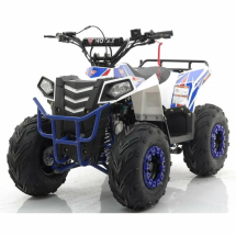 Квадроцикл MOTAX ATV Grizlik A110