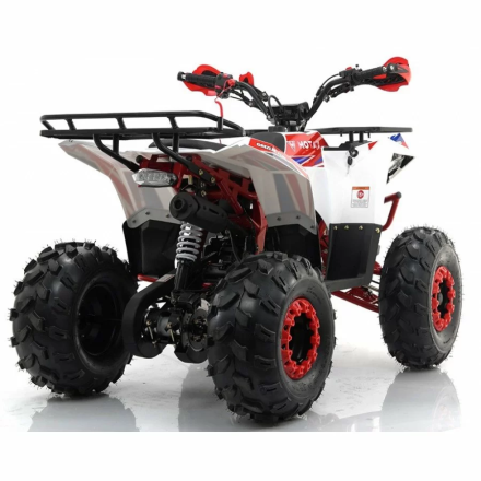 Квадроцикл MOTAX ATV Grizlik A125