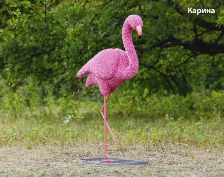 Топиари фламинго, Карина - газон Eco
