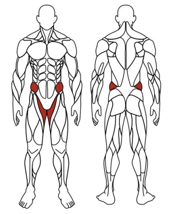 Хипс двойной (красный) СТ 031-11.П