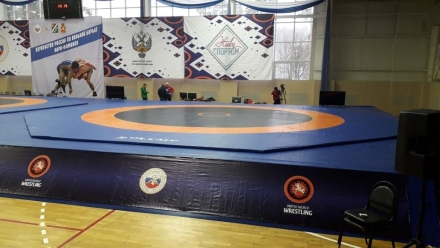 Покрытие для ковра борцовского 10х10 м ТРЁХЦВЕТНОЕ СТП-114